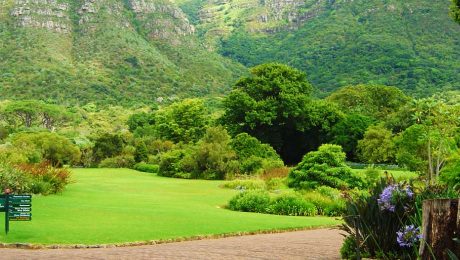 School Excursion - Kirstenbosch Botanical Gardens